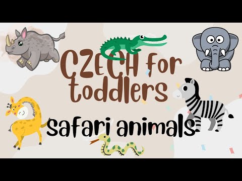 CZECH for toddlers safari animals