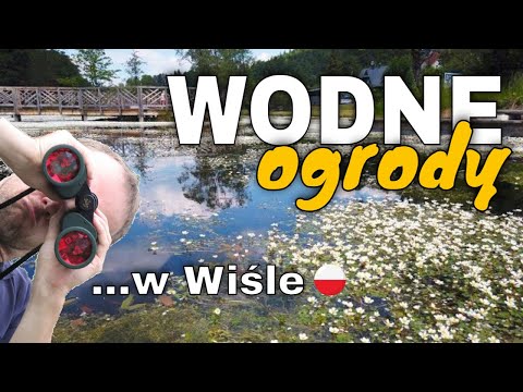 Magiczny park miejski w Wiśle