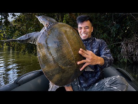 NÓ TO LẮM🔥Thật Khó Phân Biệt CUA ĐINH Hay BA BA | Hooked a Giant Turtle in the Jungle!