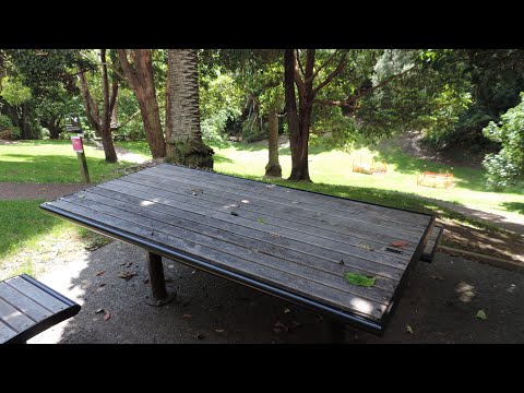 Scarborough and Alberon Reserves, Parnell, Auckland