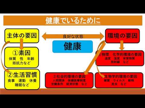 免费保険体育下载mp3 16年观看视频mp4