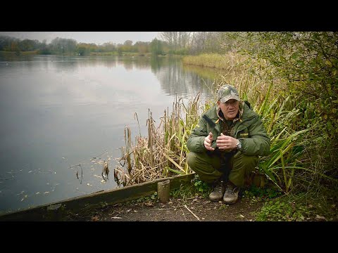 TING TONG TOP TIPS-Watercraft & Mobility