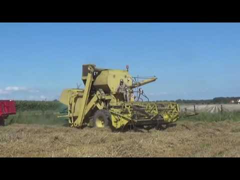 Claeys / Clayson M 103