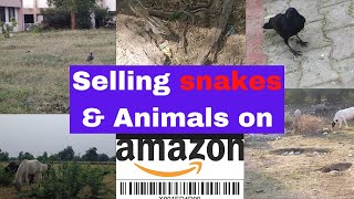 Can you sell snake and other other live animals on Amazon ?