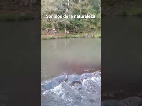 Camping Andrés en Gobernador López Misiones 🇦🇷❤️🇦🇷 #nature #misiones