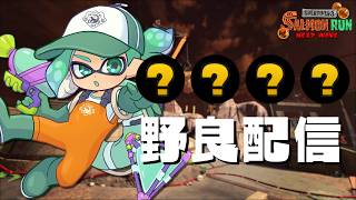 【黄金編成】終盤だけどクマフェスで思いっきり遊ぶ！【すごろく：サーモンランNW】
