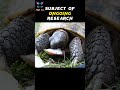 How Long Tortoise Live Reason For Longer Lifespan Of Tortoise