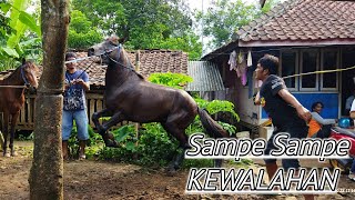 Download lagu PUNYA BELOAN LAGI ⁉️ NGELATIH BIAR BISA JOGED DUMANG 😁🙏 mp3