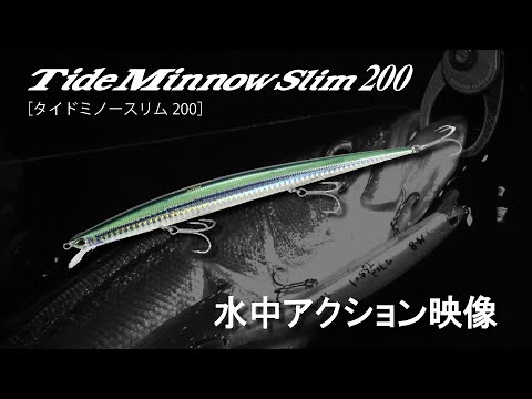 DUO Tide Minnow Slim 200 20cm 27g TS-2205 F