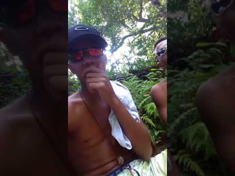 Mc Vinicin e mc Duzin