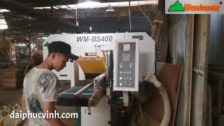 Woodmaster. Máy cưa lạnh mỏng chất lượng cao giá tốt nhất Tphcm