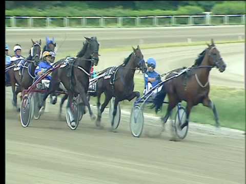 Trotto 17/06/2017 - 2ª corsa