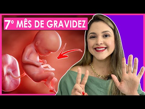 7 MONTHS PREGNANT - WEEKS 28, 29, 30, 31