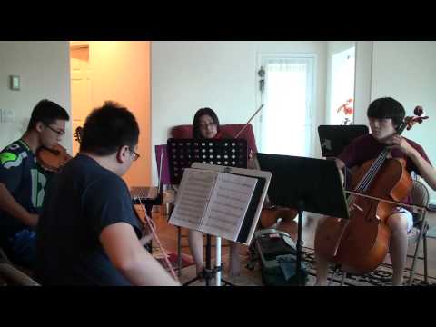 The Walker - Fitz and the Tantrums - Pangtience String Quartet Cover