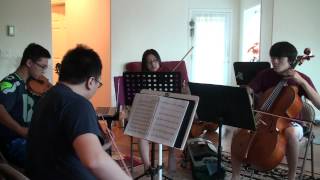 The Walker - Fitz and the Tantrums - Pangtience String Quartet Cover
