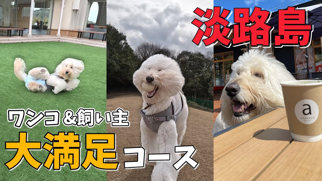 犬と淡路島！ワンコと飼い主どっちも満喫コースはこれだわ…【2026年春】