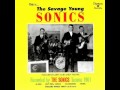 The Sonics - Hold It