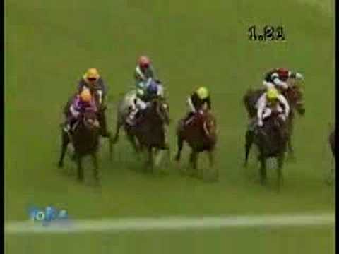 2007 安田記念 YASUDA KINEN