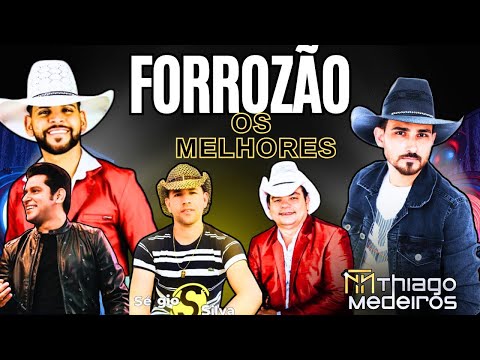 Forrozão Os Melhores Sucessos -Thiago Medeiros 