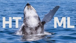 Intro to Web (HTML)