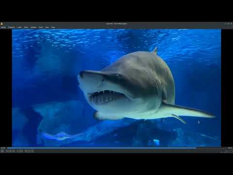 Channel Announcement / Musescore Sync to Picture