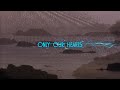 Only Our Heart - Paul McCartney (Subtitulada español/inglés)