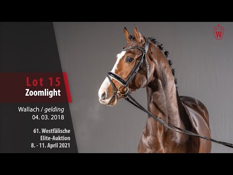 61. Westfälische Elite-Auktion Lot 15 Zoomlight Wallach v. Zoom - Lissabon
