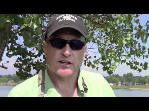 Tips og tricks til karpefiskeri med flue