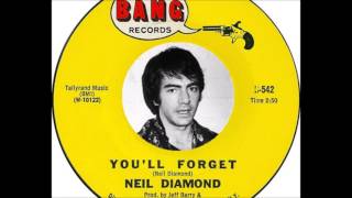 Neil Diamond - You&#39;ll Forget  (1967)