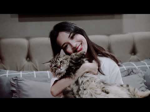 Video Profil Puteri Indonesia Kalimantan Tengah 2 2022 - Yasmin Deliana