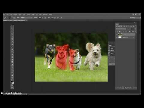 Lesson 23 | Radial Blur an Image to Focus
