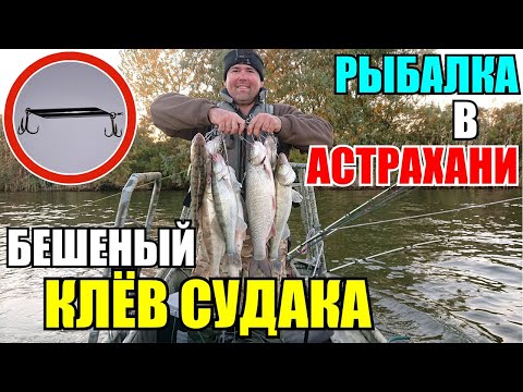 Фото Рыбалка в Астрахани 2021 Бешенный клёв судака / остров Мумра