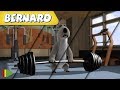 Bernard Bear The Gym 2 AND MORE 30 Min Compilation Cartoons For KIDS