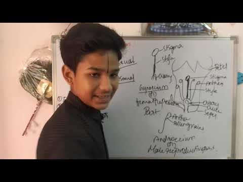 "Reproduction in flowers"narrator Soma Sri Charan Perala