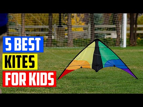 Best Kites of 2023 [Top 5 Picks]