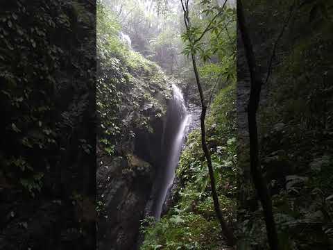 Sacred Portal – from Nara │ Rainy Seirei Falls