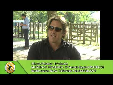 03-04-19 - Alfredo Polesker - Productor - Alfredo S.  Mondino - B. Juarez