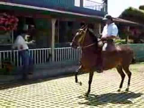 Alpujarra de Villa Catalina