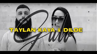 Gülo Lyrics English Translation