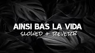 Download lagu Ainsi Bas La Vida slowed reverb🎧🎧 mp3