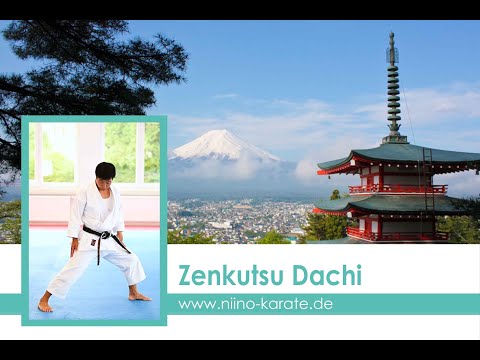 Zenkutsu Dachi - Fakten und Irrtümer