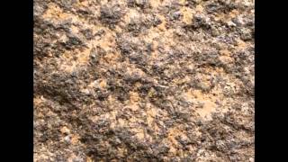 Blissfully Unaware [Official Music Video]