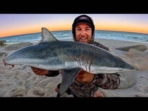 3 Días Solo en una Playa Remota - ¡Cocinando Todo lo que Pesque y Más!