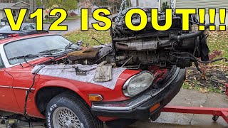 Removing The V12 From The Jaguar XJS So It Can Be Replaced With A V8!