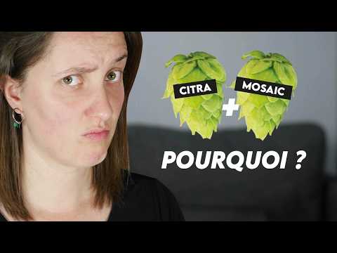Pourquoi Tout le Monde Brasse avec le Citra et le Mosaic ? Recette NEIPA