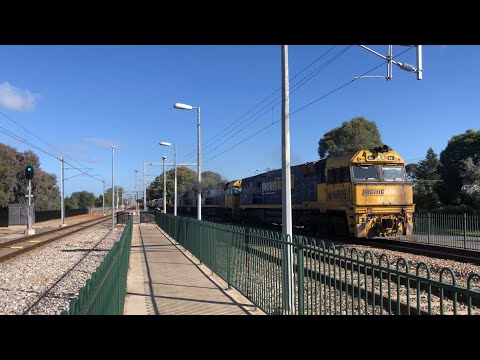 Pacific National Steel - 1MP2 - NR99, NR32, NR85, NR5