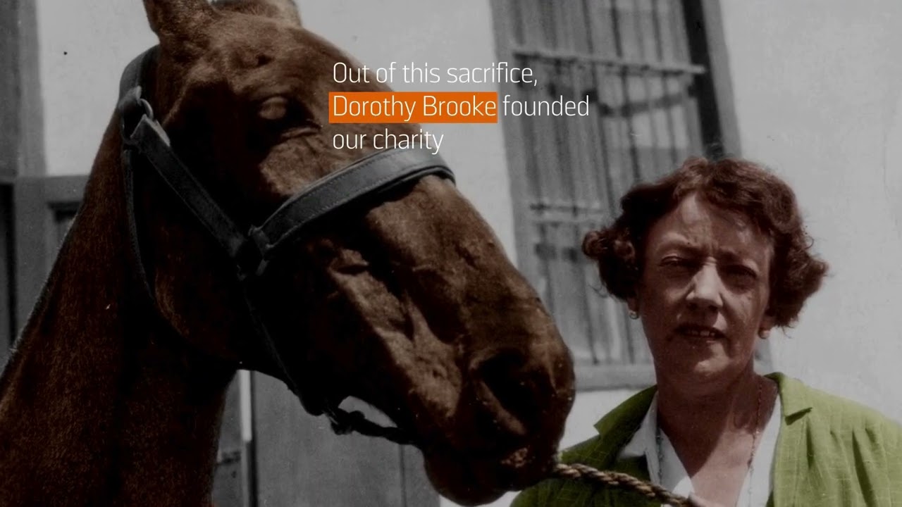 Every Horse Remembered