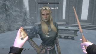 Skyrim SE: School of Witchcraft and Wizardry (Harry Potter Mod) Ep 8 ~ OP Team of Aurors!!