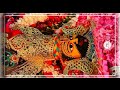 Khatu Shyam Ji Latest Full Screen 4k Ultra HD Status Video WhatsApp Status Video Shyam Baba