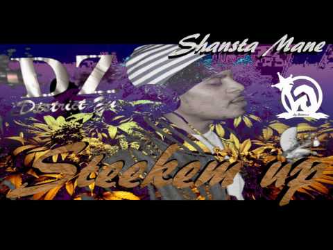 Shansta Mane   Steekem Up